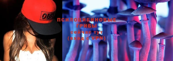 соль курить ск Богородицк