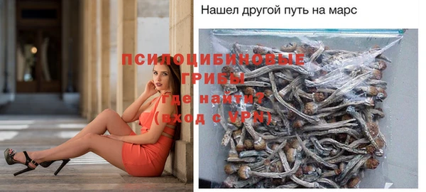 мяу мяу мука Сафоново
